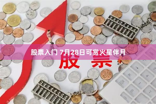股票入门 7月28日可赏火星伴月